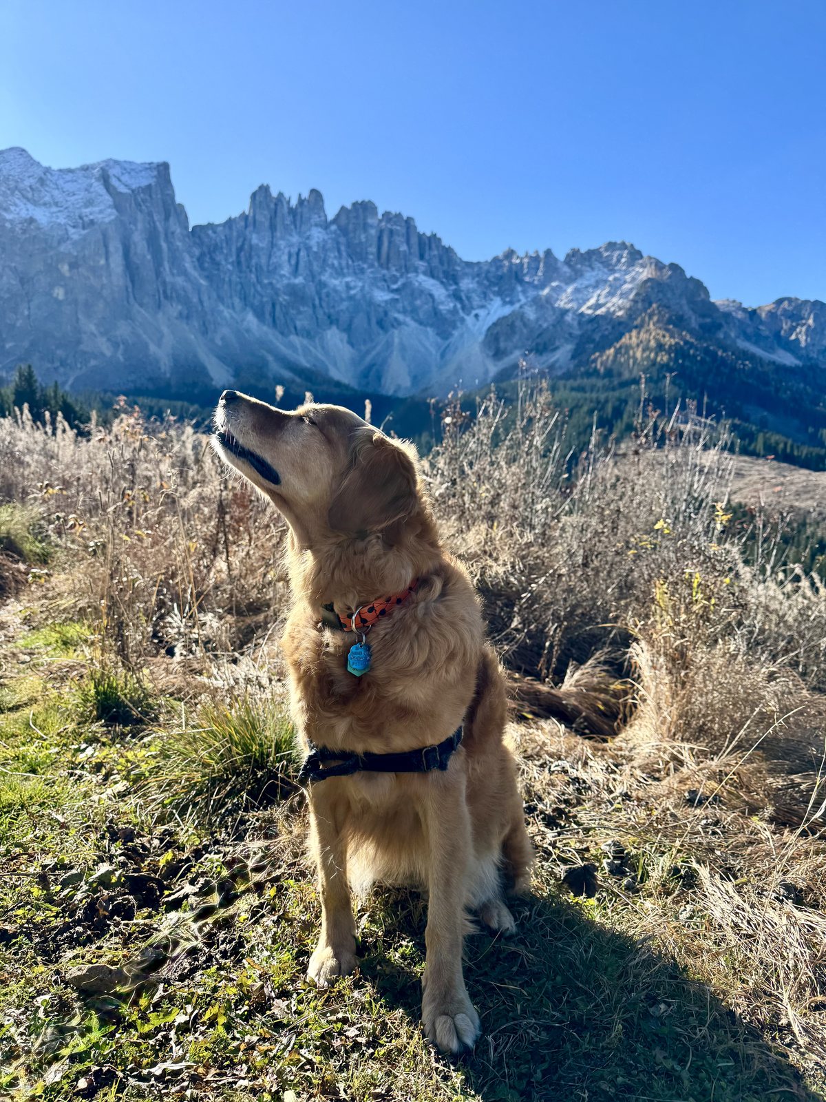 The Italian Dolomites