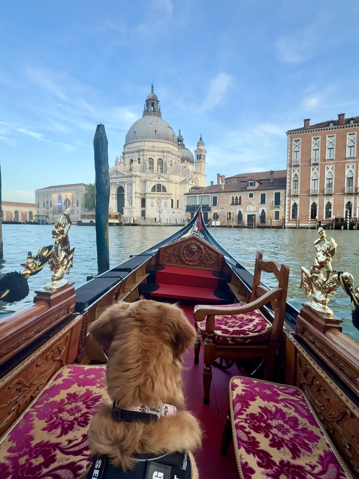 A gondola in Venice, Italy