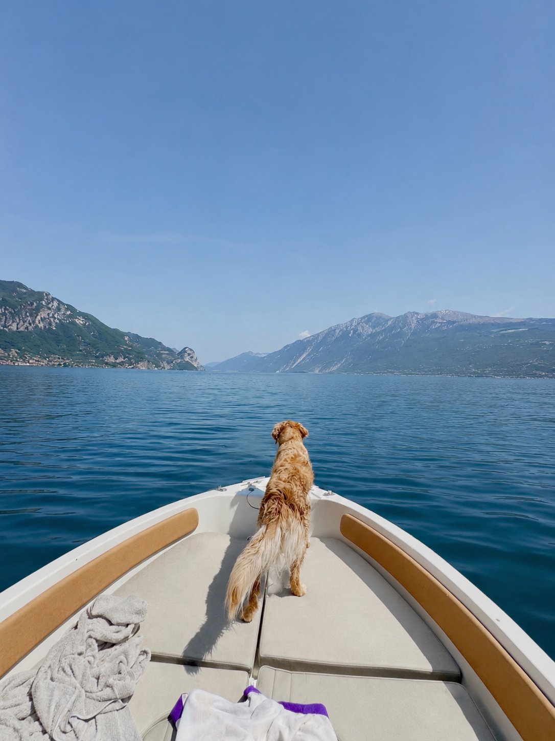 Holland looking out over Lake Garda from the bow of a boat