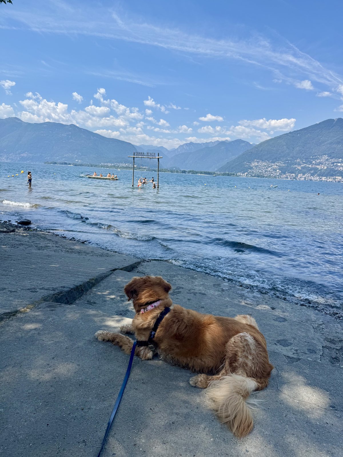 Holland looking out at Shaka Beach on Lake Maggiore